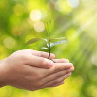 Compassie training MBCL