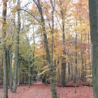 Grip op hooggevoeligheid