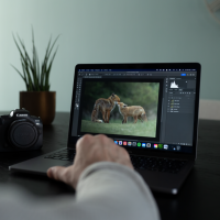 Nabewerken met Adobe Lightroom Classic